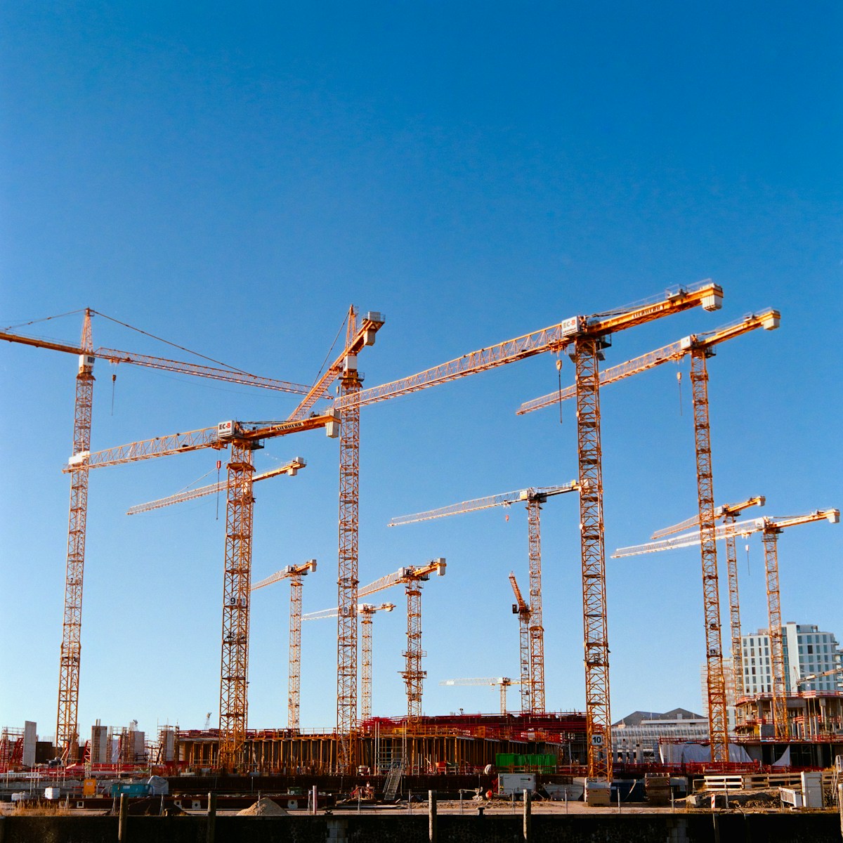 Photo by Pablo Heimplatz a bunch of cranes that are standing in the air